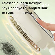 Electric Misting Spray Hair Brush 3 in 1 Steam Air Cushions Massage Comb anti Static Detangling Hairbrushes Styling Accessory